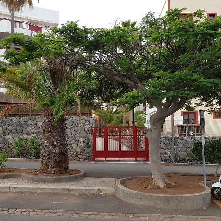 El Palm-mar. Great Terrace, Pool And Parking * Palm-mar