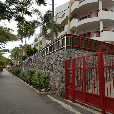 El Palm-mar. Great Terrace, Pool And Parking