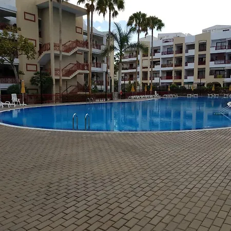 El Palm-mar. Great Terrace, Pool And Parking Palm-mar