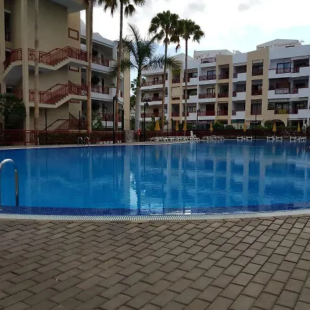 El Palm-mar. Great Terrace, Pool And Parking Palm-mar