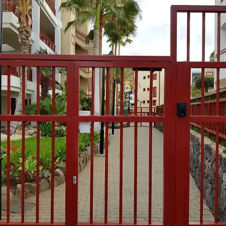 El Palm-mar. Great Terrace, Pool And Parking *